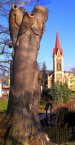  Zbeh - pohled od „Brasku“