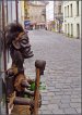 amanka ze Starobransk